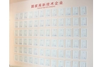 蕾：以综合实力助力小众香水品牌高质量发展