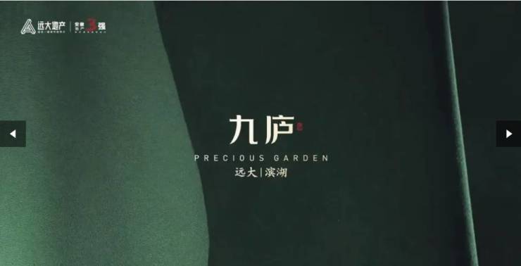 远大九庐购房热线电话号码多少pg电子免费试玩模拟器合肥(图3)